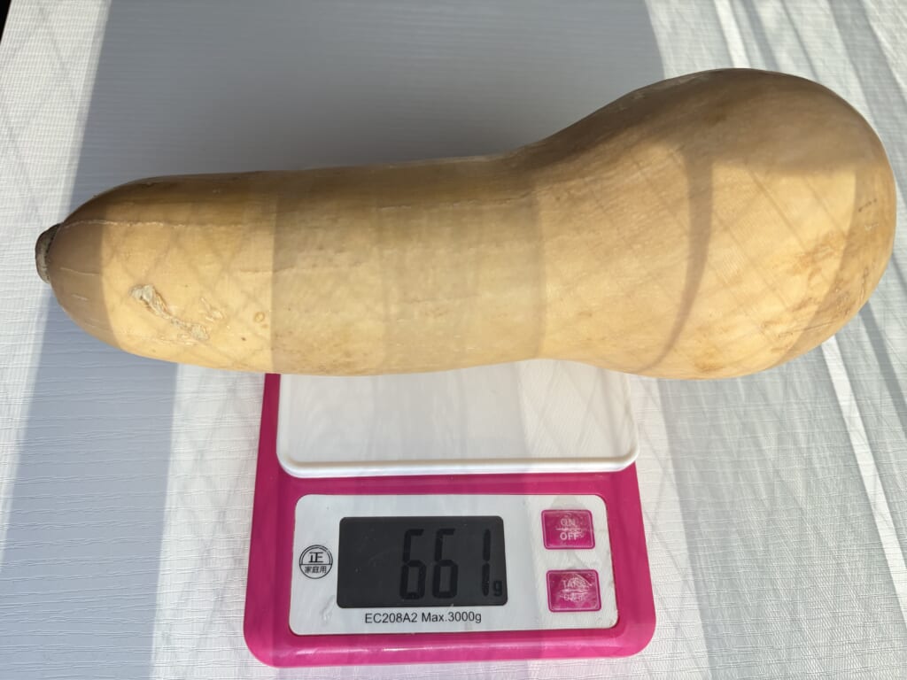 キッチンスケールに載せた丸ごとのバターナッツかぼちゃ、661g